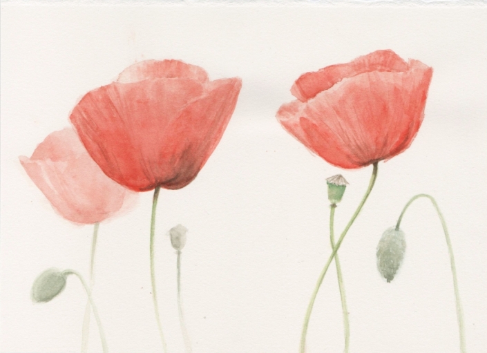 Señor, si algo puedes, ayúdanos